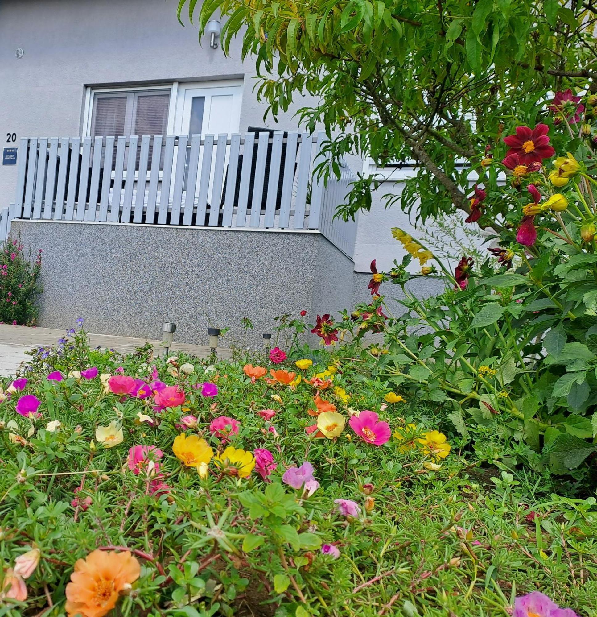 Studio Apartman Draga Velika Ludina Exterior photo